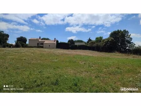 terrain constructible