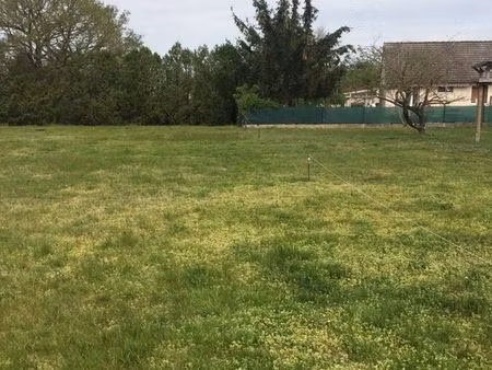 terrain constructible