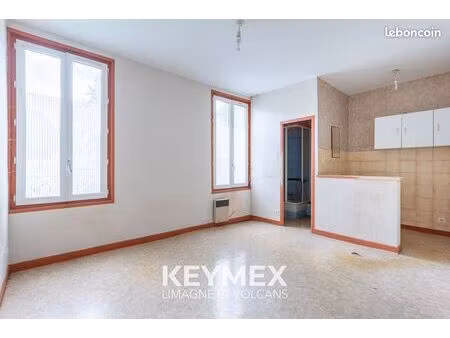 immeuble 502 m² vichy