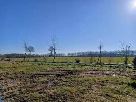 vente terrain à saint-mars-du-désert (44850) : à vendre / saint-mars-du-désert