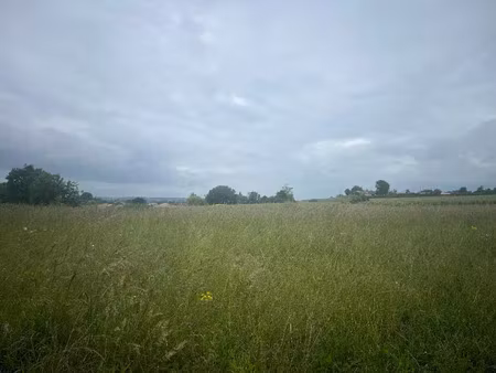 vente terrain 500 m² à saint-savin (33920)  45 000 €