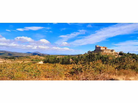 montalba-le-chateau - terrain agricole 10 695 m2