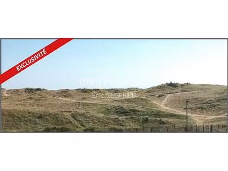 commerces  restaurants et plage a proximite !!!