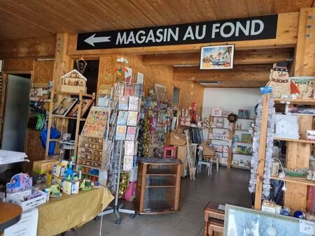 fond de commerce de produits de déguisement