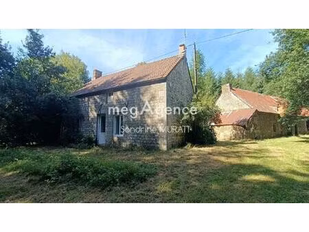 lignieres orgeres maison avec parcelle pin douglas