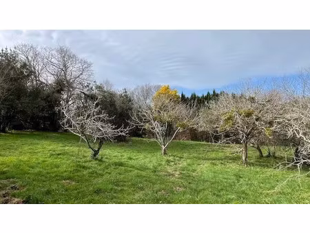vente terrain à batir 1206 m² à mouguerre (64990)  181 500 €