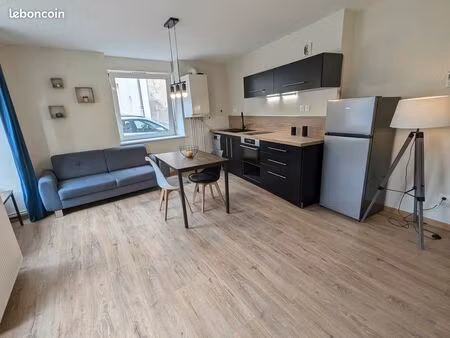 ? loue en meublé bel appartement lumineux t2 – 50m² – rdc – charmes (88)