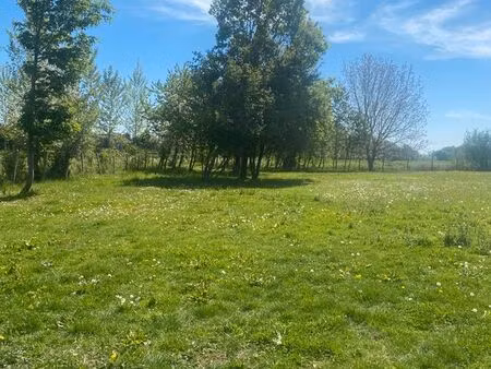 terrain pour animaux 2500m2
