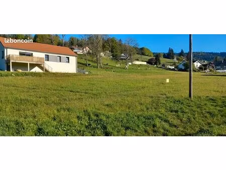 terrain constructible