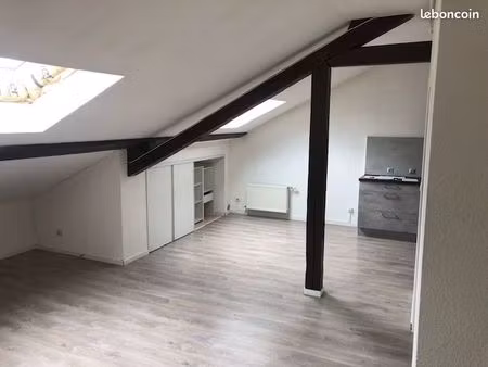 appartement douillet calme et renove pour personne seule ou couple serieux