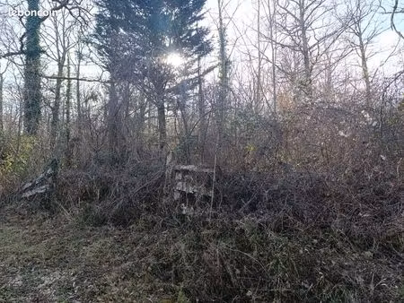 parcelle bois et taillis pour loisirs diges(89)