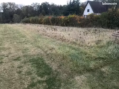terrain 2726 m2
