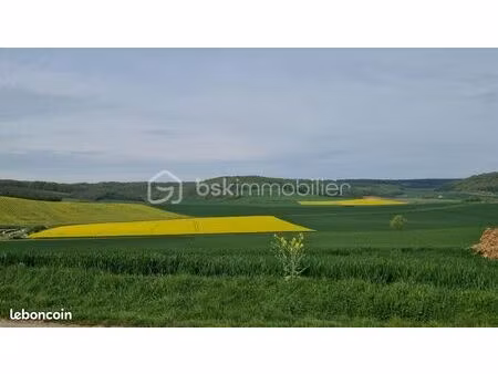 terrain 11 574 m² chailley