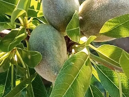 a vendre ferme agricole