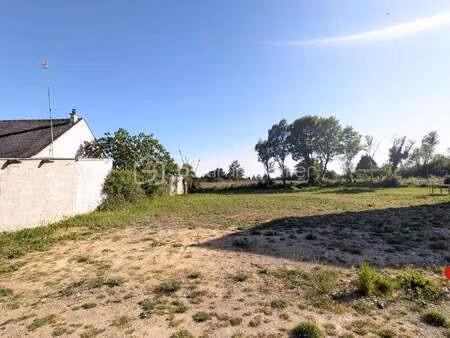 vente terrain bord de mer à ambon (56190) : à vendre bord de mer / 4031m² ambon