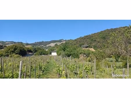 terrain 520 m² cornas