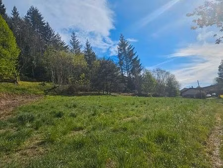 terrain 2197m2