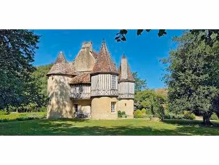 château saint-pierre-sur-dives (14)