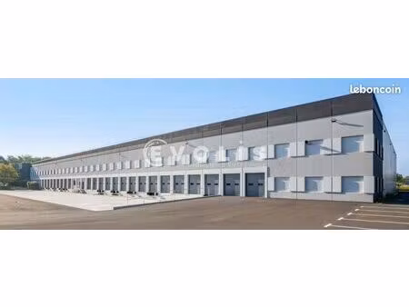 local industriel 8 018 m²