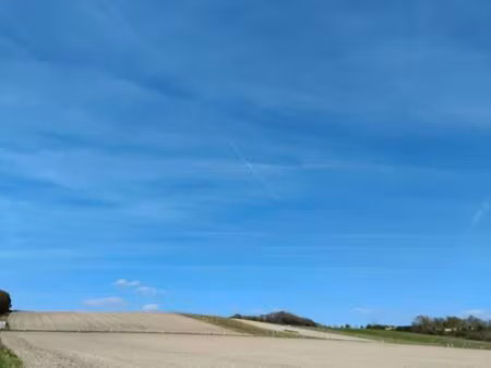 rare – vignoble de 4 80 ha plein sud – sud ardennes