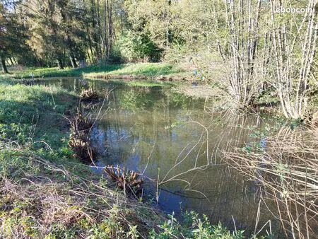 vends terrain avec 3 étangs
