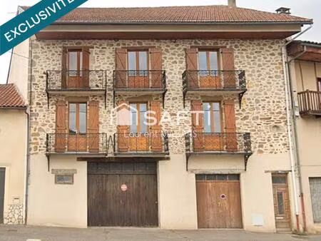 immeuble avec deux appartements  garages  caves et cour privative.