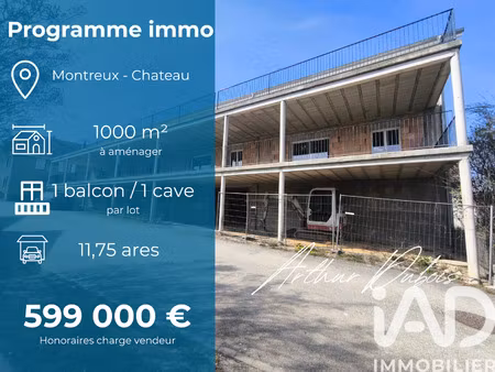 vente immeuble 1 000 m²