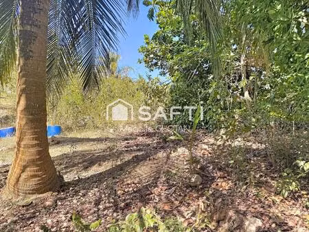 terrain constructible de 800m2 au moule