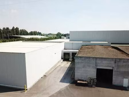 bâtiment commercial à louer à wijngaardveld à alost