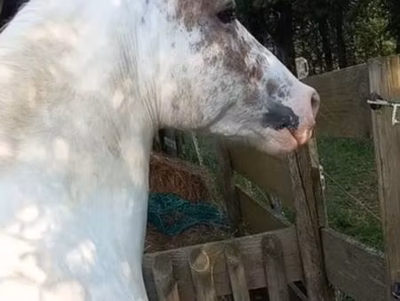 cherche terrain à louer