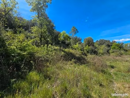 terrain 1 782 m² quintillan