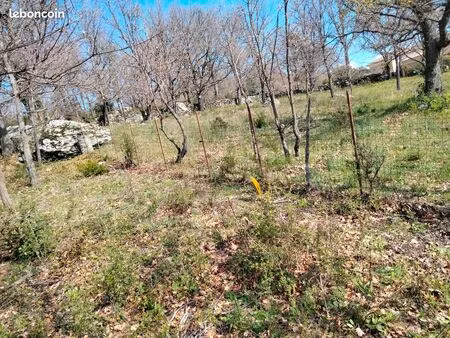 terrain murato