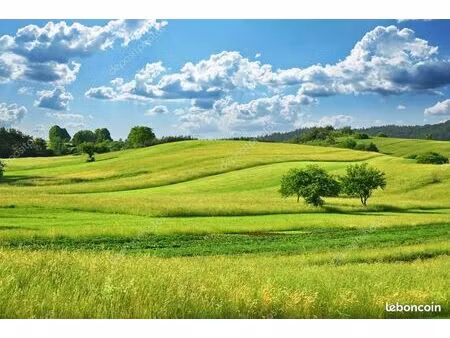 vends terrain agricole