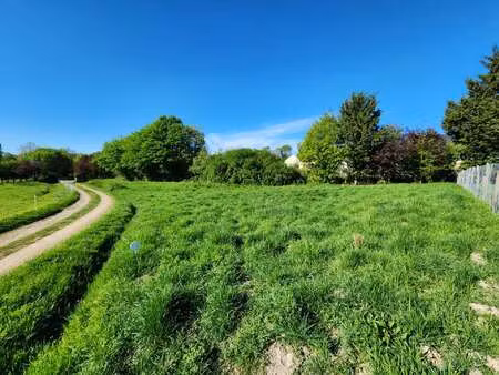 vente terrain à mozé-sur-louet (49610) : à vendre / 1217m² mozé-sur-louet