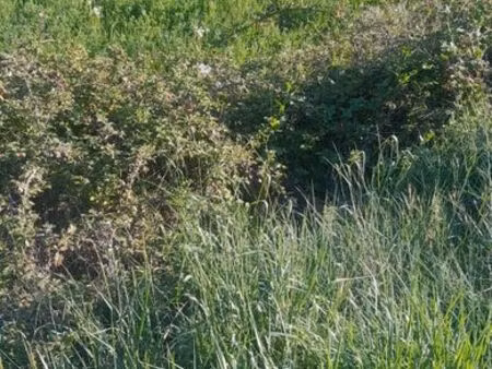 terrain à bâtir millau