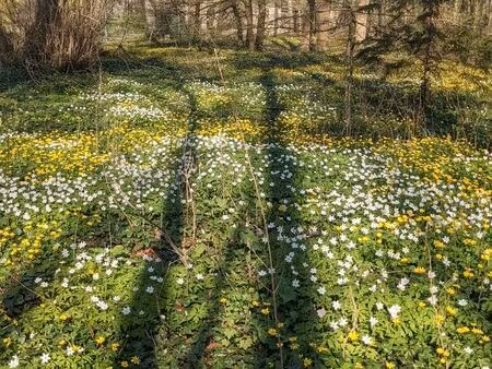 recherche terrain agricole maraicher naturelle en friche......