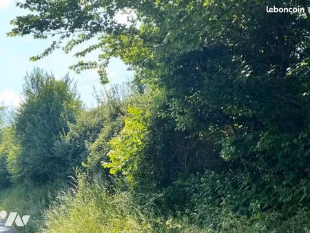 terrain 8050 m² la chapelle yvon