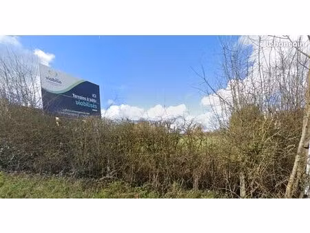 terrain 1 496 m² chouain