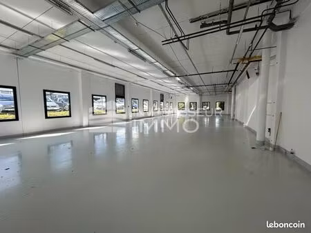 local d'activité 597 m²