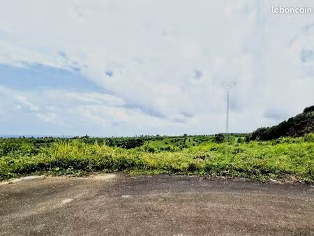 terrain 774 m² goyave