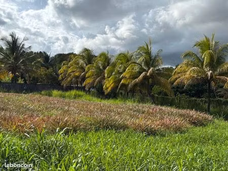 beau terrain de 800m²