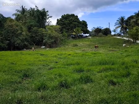 terrain 1 000 m² sainte anne