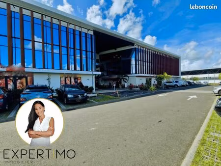 local 328 m² les abymes