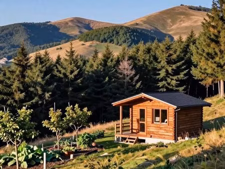 recherche terrain constructible viabilisé - projet chalet & verger (cantal)