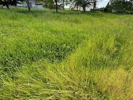 terrain 1124 m² montguyon