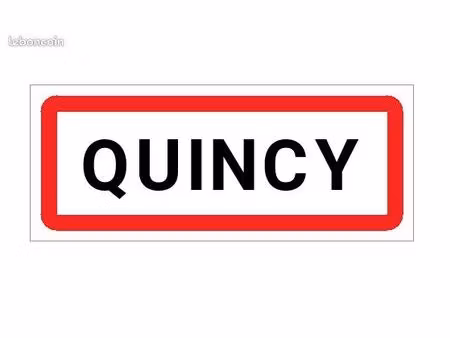 terrain constructible à vendre quincy 18120