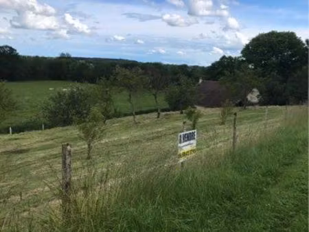 terrain constructible