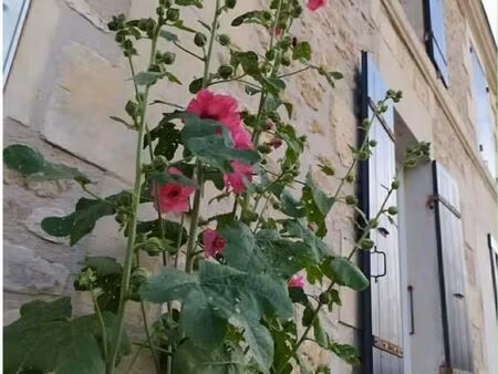 appartement 1 pièce 130 m²