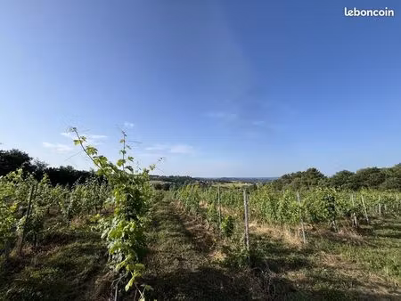 terrain 1 pièce 20000 m² puy d arnac