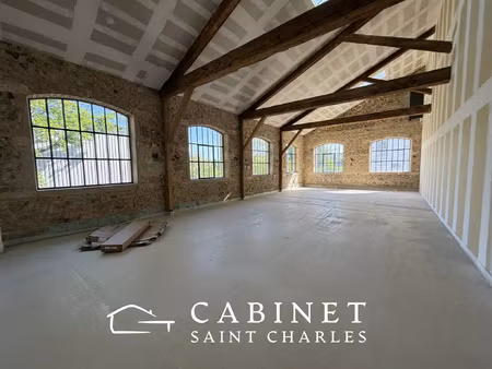 vente commerce 118 m² chaponost (69630)
